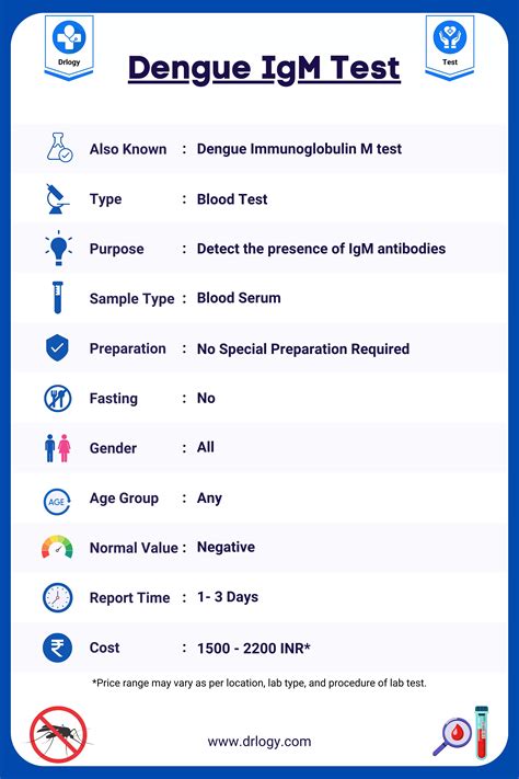 igm dengue positive means